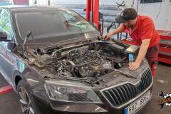 dg-automotive_051